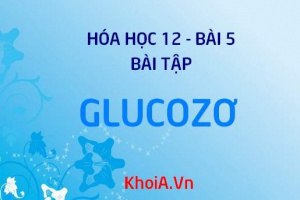 Bài tập về Glucozơ và Fructozơ: Giải bài tập 1, 2, 3, 4, 5, 6 trang 25 SGK Hóa 12 bài 5